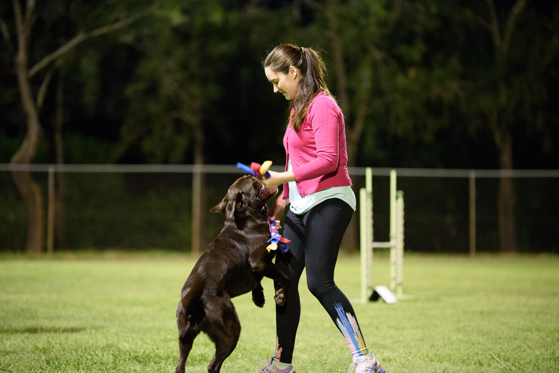 Membership Agility Dog Club of Queensland